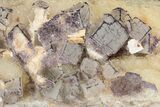 Purple Edge Fluorite Crystal Cluster - Qinglong Mine, China #205293-2